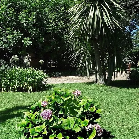Marta Villa